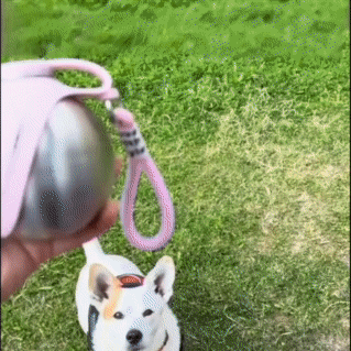 PawSip - Travel Water Bottle for Dogs